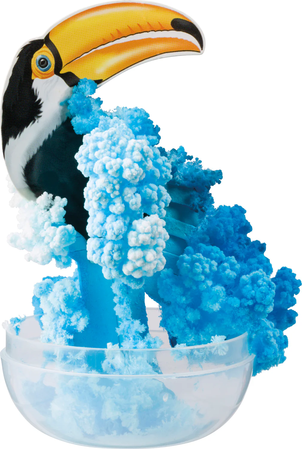 AMAZING GROW TROPICAL BIRDS - Image 2