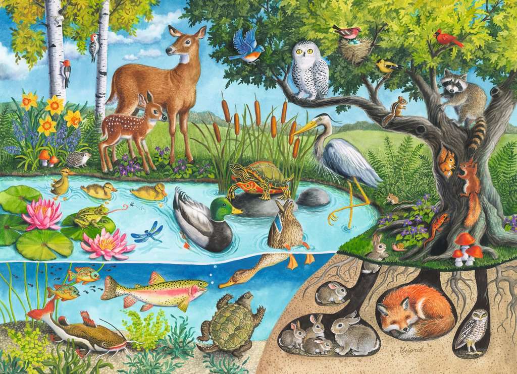 Animals Above and Below 60 Pc Puzzle - Image 2