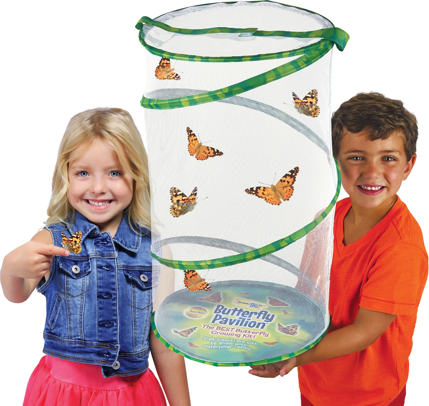 Butterfly Pavilion - Image 5