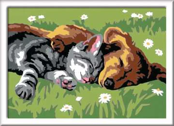 CreArt: Paint-By-Number Sleeping Cat and Dog 5x7 - Image 2