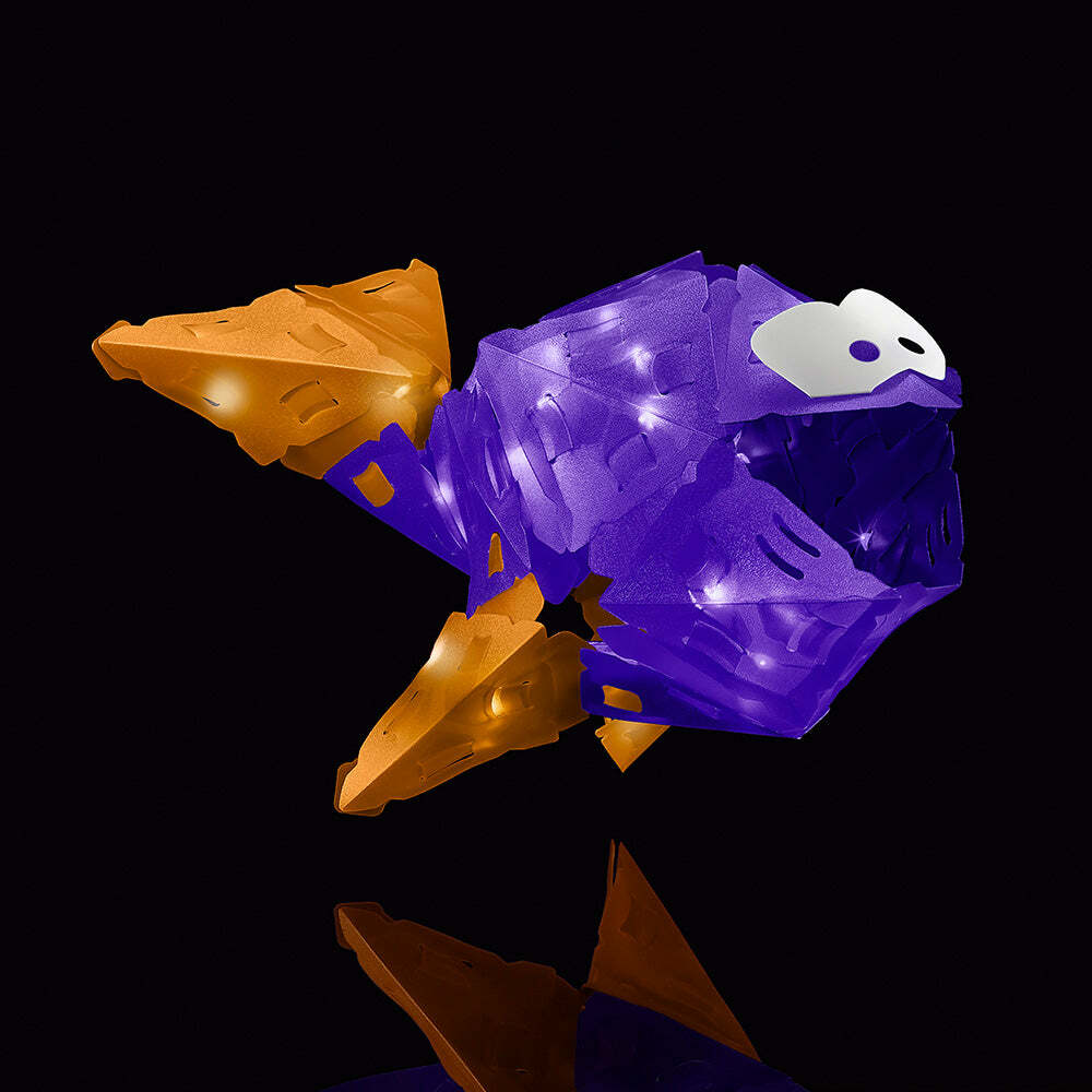 Creatto Flashy Fish &amp; Silly Swimmers - Image 2