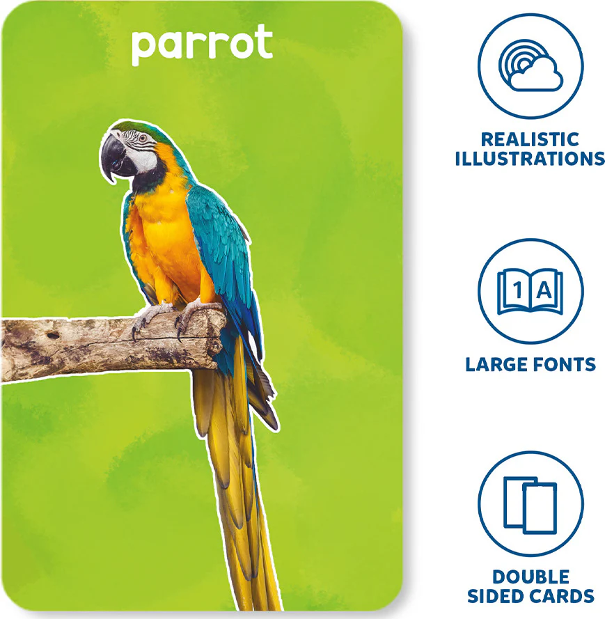 First 100 Animals Flash Cards - Image 4
