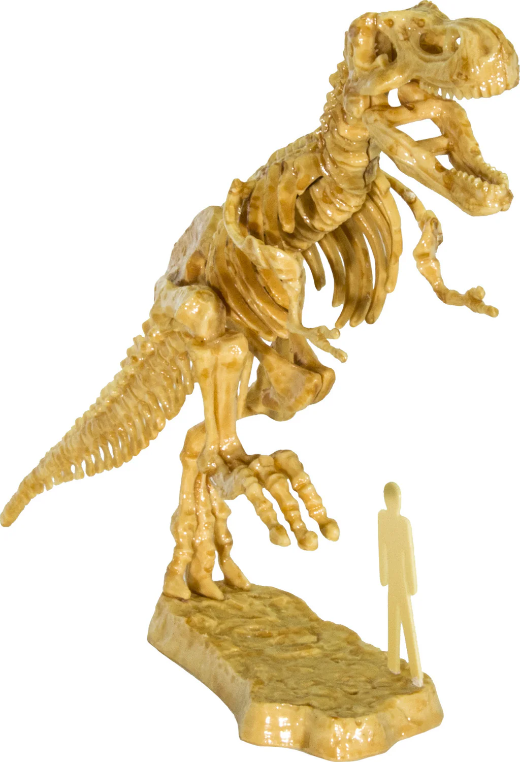 I Dig It! Dinos - 3D T. Rex Excavation Kit - Image 3