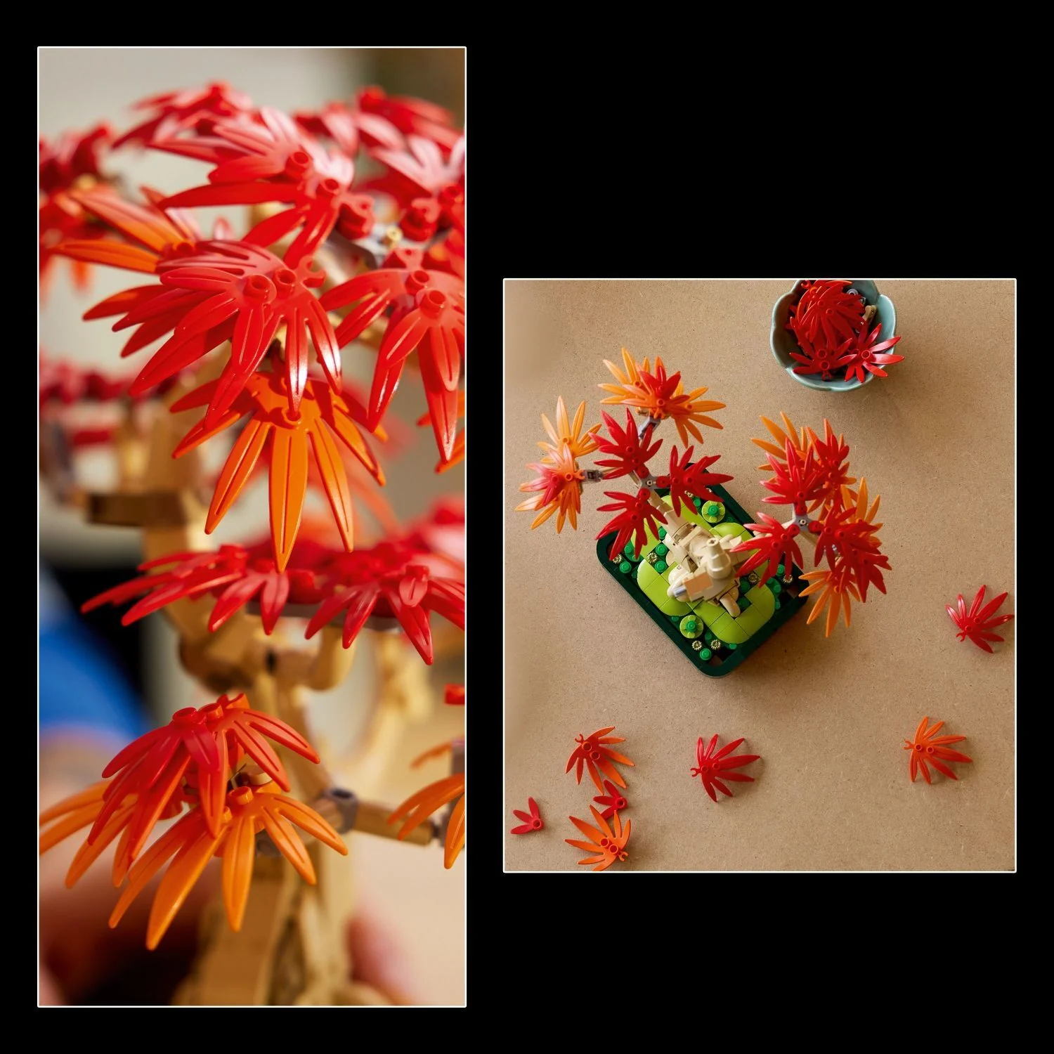 LEGO Botanicals: Japanese Red Maple Bonsai Tree - Image 5