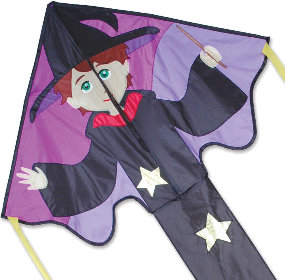 Lg Easy Flyer Kite Ned Wizard