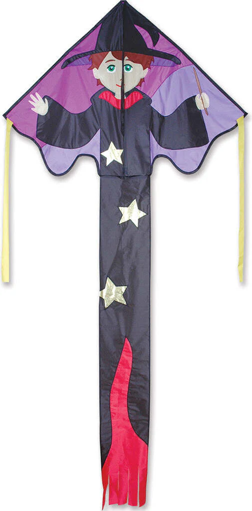 Lg Easy Flyer Kite Ned Wizard - Image 2