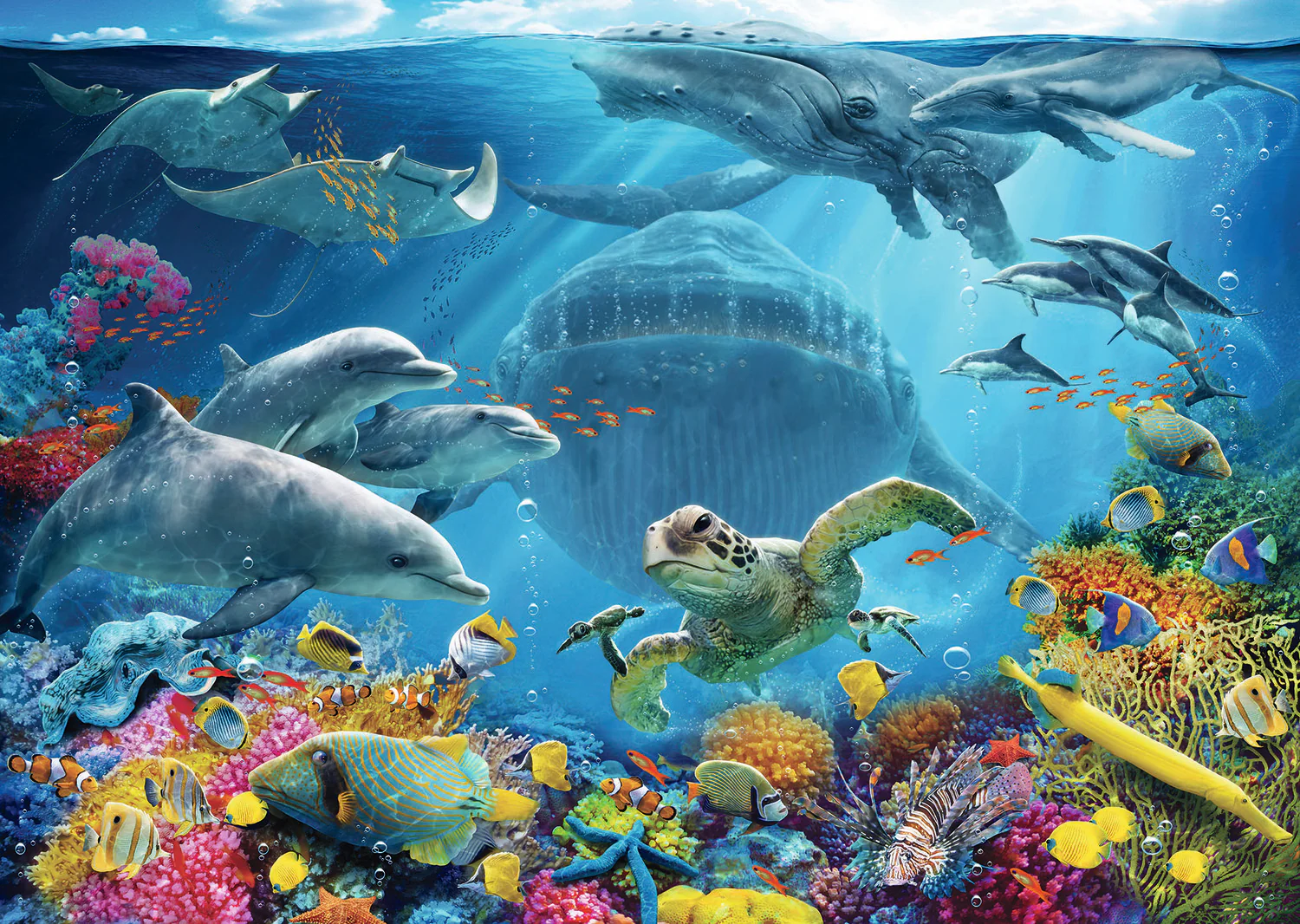 Life Underwater - Image 2