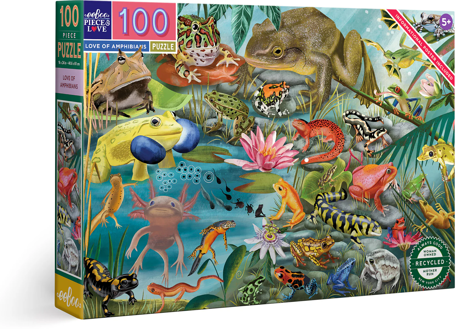Love of Amphibians, 100 Piece Puzzle - Image 3