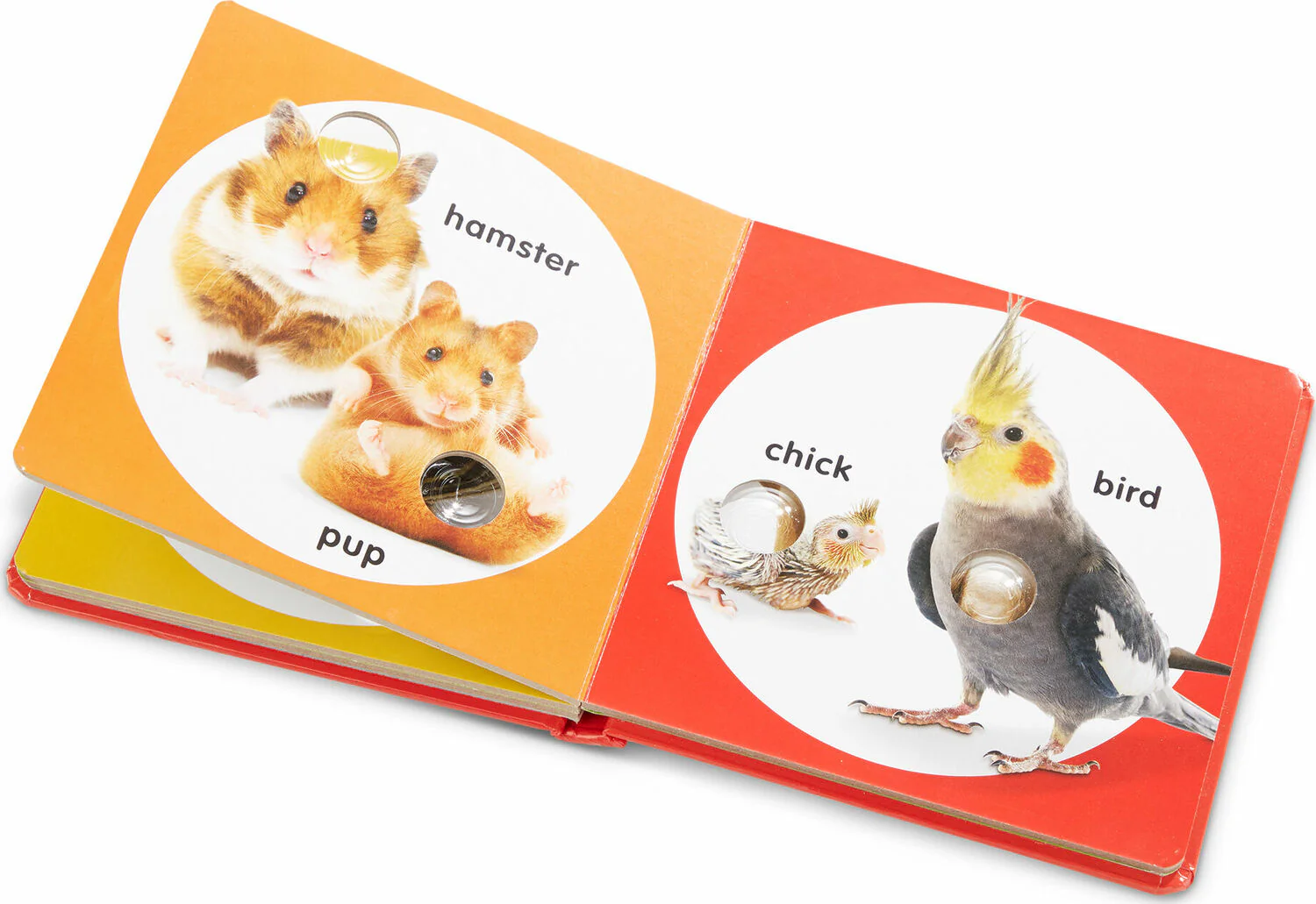 Small Poke A Dot: Pet Families - Image 2