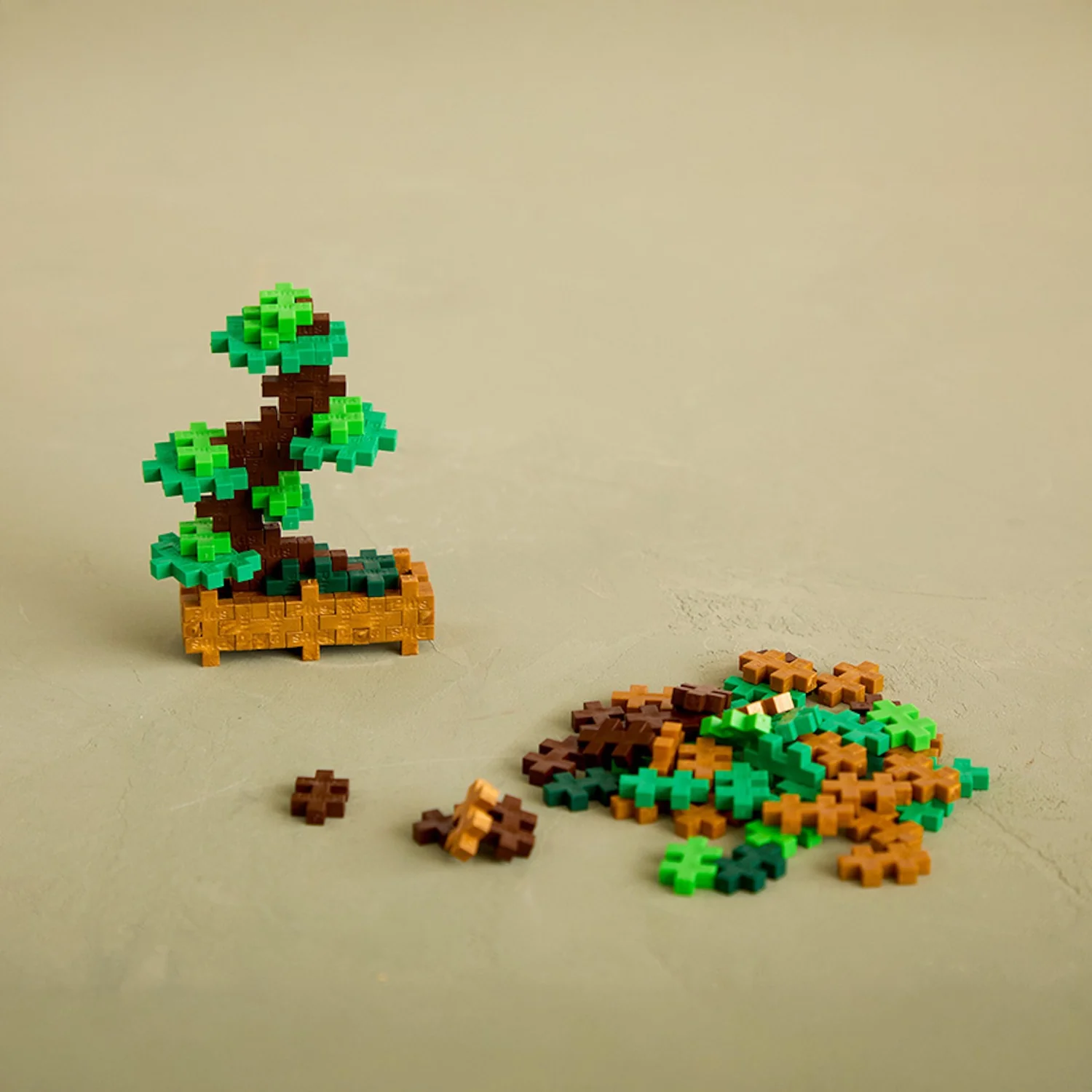 Plant Pack - Balanced Bonsai - Image 4