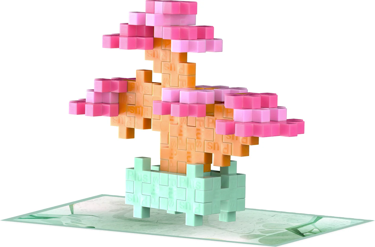 Plant Pack - Blissful Bonsai - Image 3