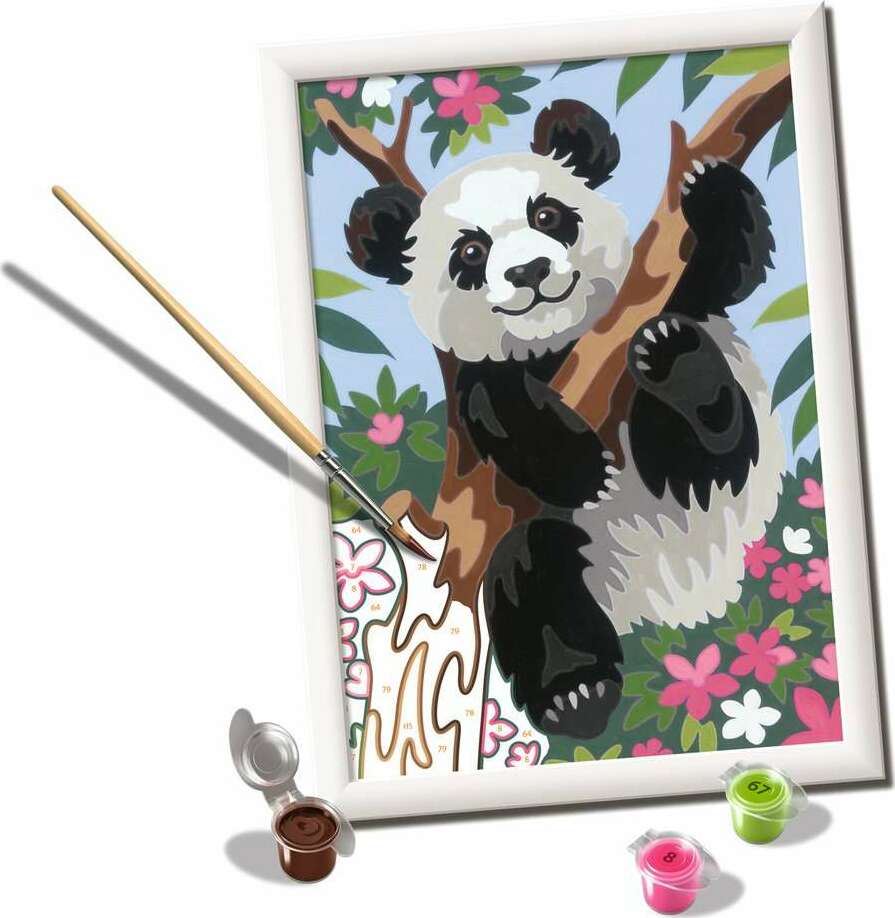 Playful Panda - Image 3