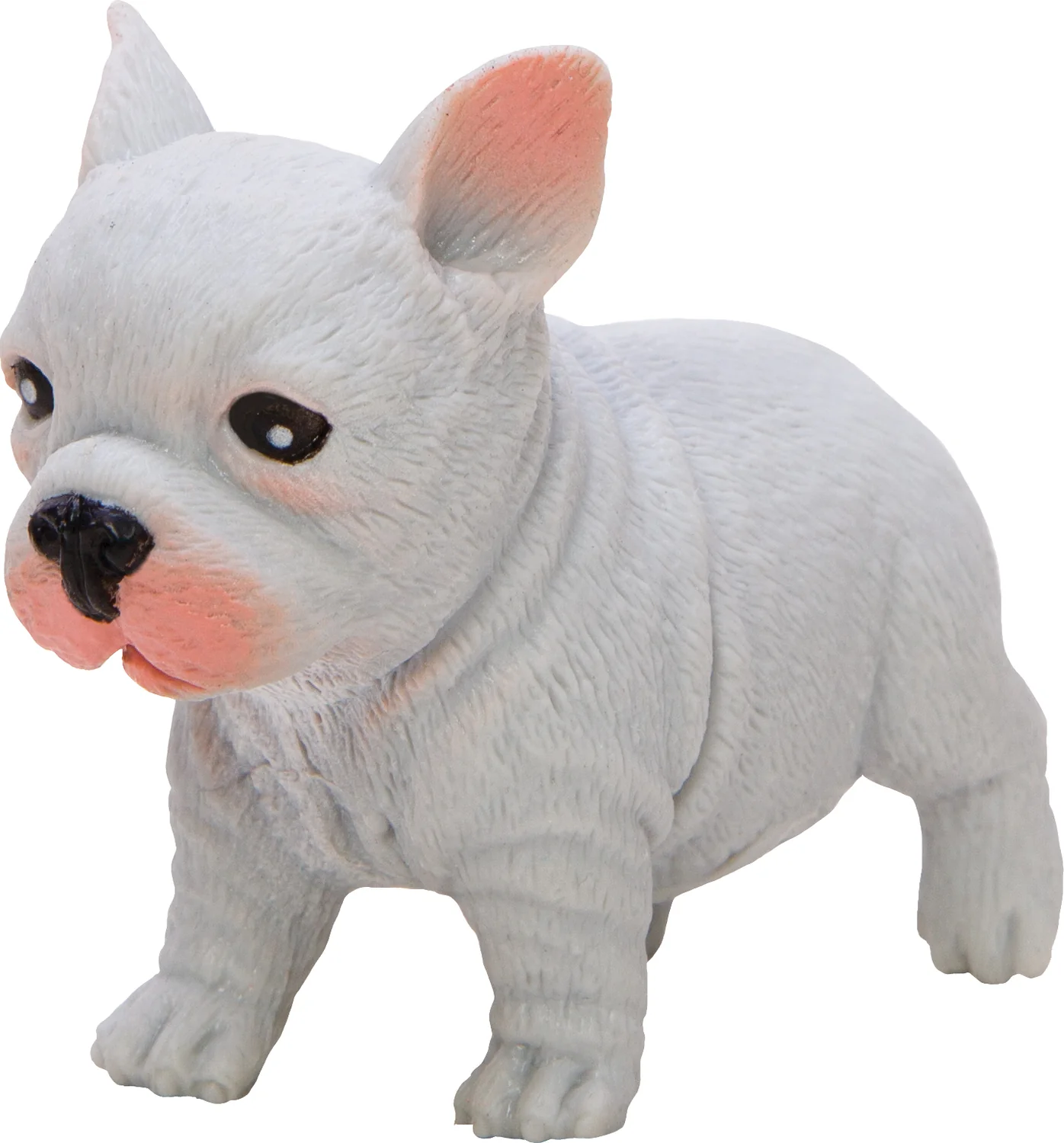Pocket Pup (assorted ) - Image 3
