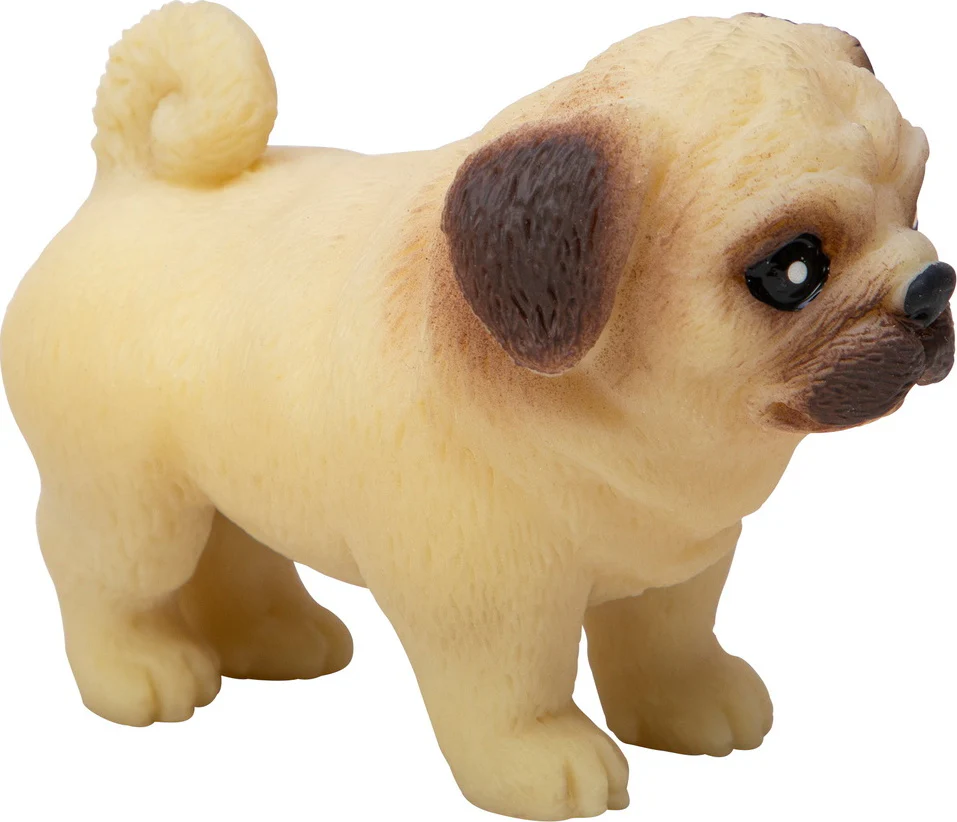 Pocket Pup (assorted ) - Image 5