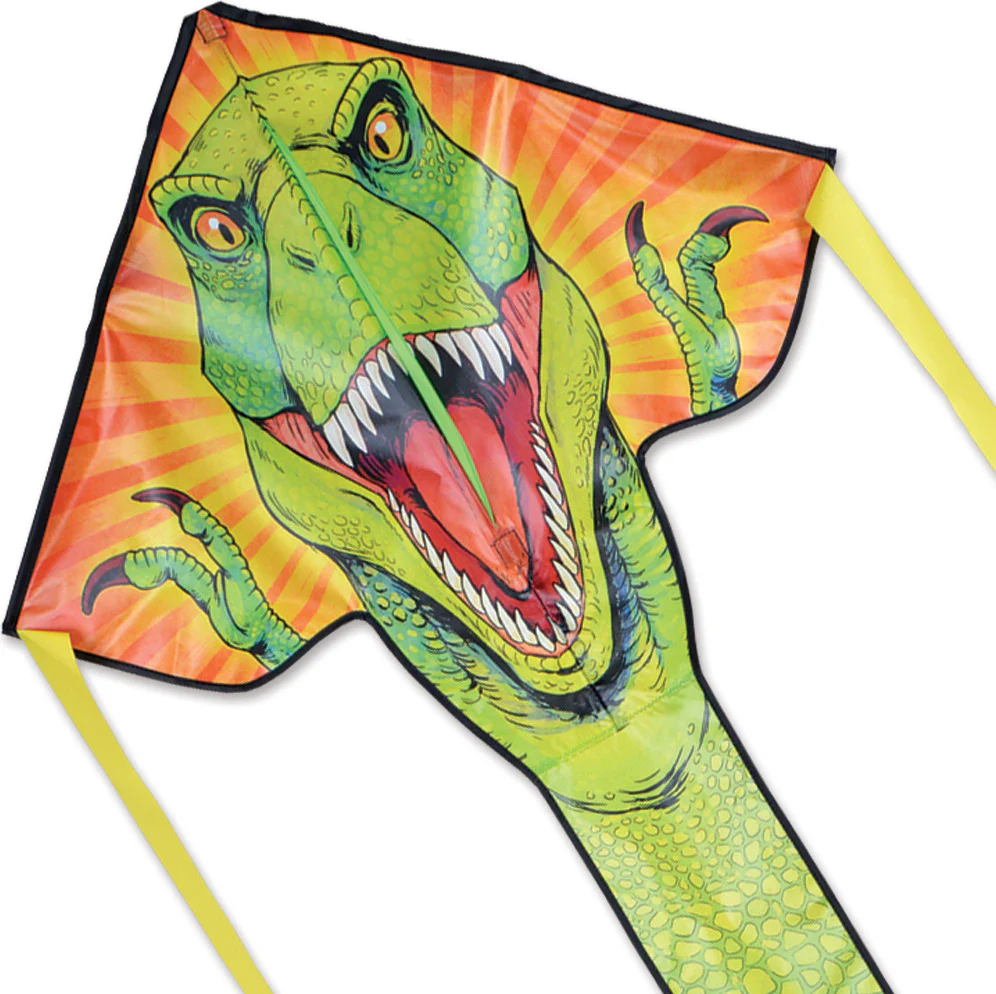 Reg Easy Flyer Trex