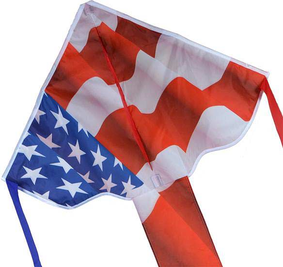 Regular Easy Flyer Kite - Patriotic - Image 2