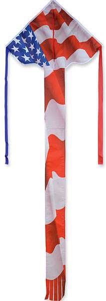 Regular Easy Flyer Kite - Patriotic - Image 4