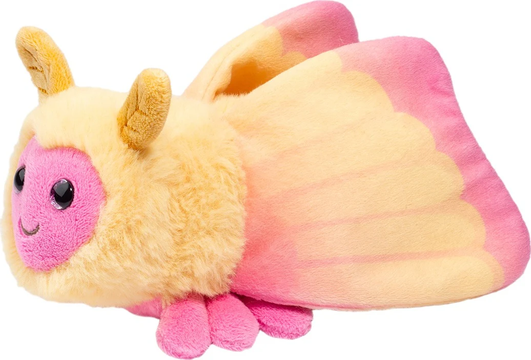 Rosy Maple Moth - Image 2