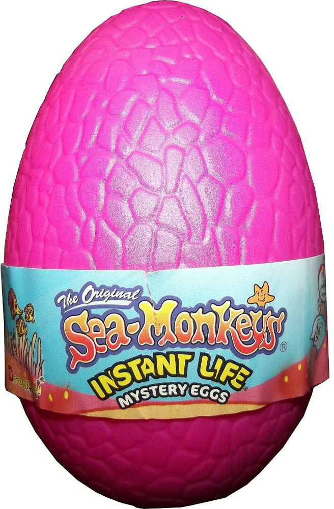 Sea-monkey Eggs Instant Life - Image 2