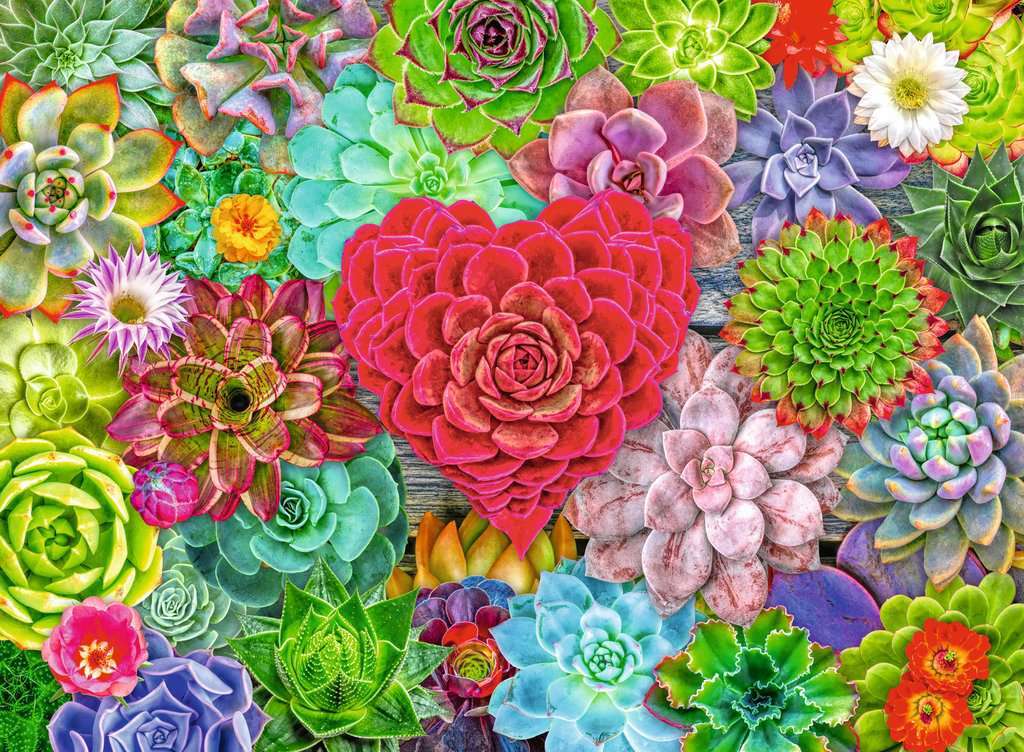 Succulent Love 500 Pc Puzzle - Image 2