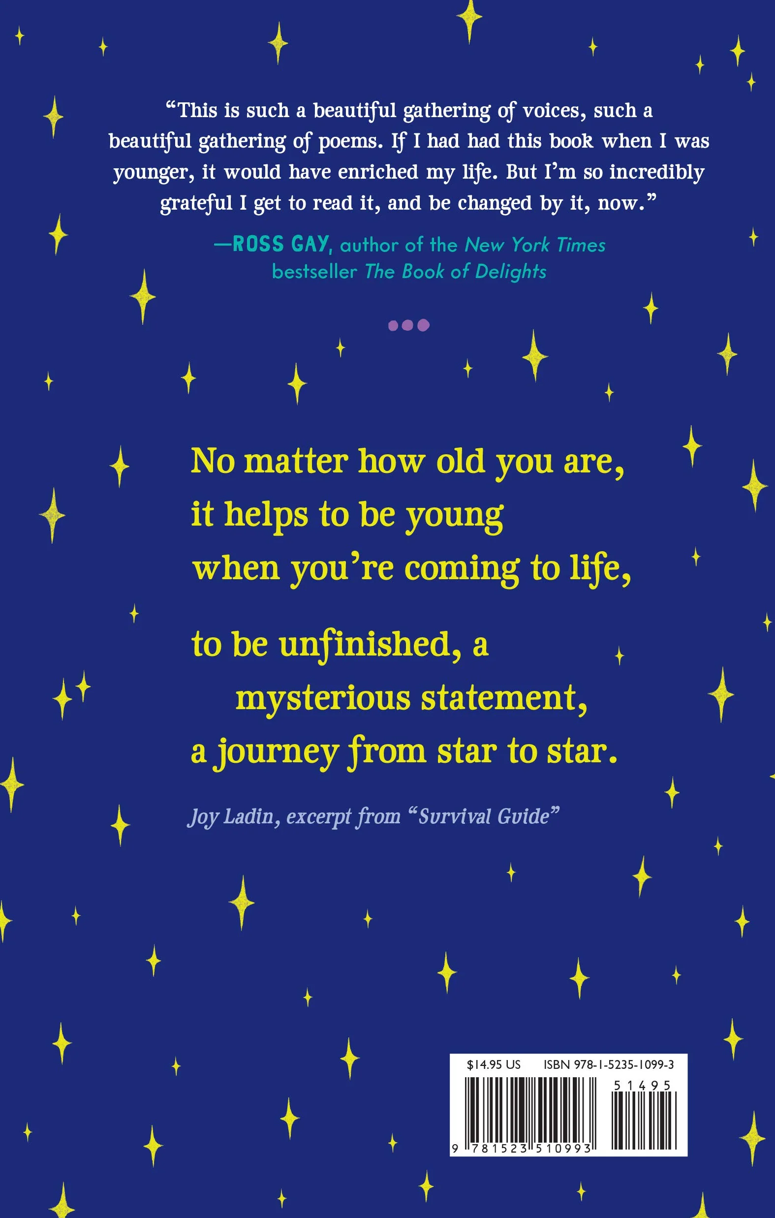 You Don't Have to Be Everything - Image 2